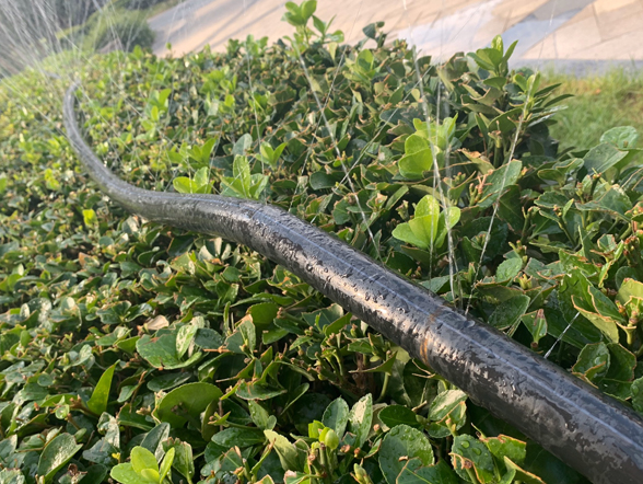 地埋噴灌,自動(dòng)化灌溉,智能灌溉,石家莊地埋噴灌,石家莊自動(dòng)化灌溉,石家莊智能灌溉